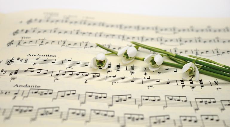Teoría Musical Desde Cero: Conceptos Fundamentales
