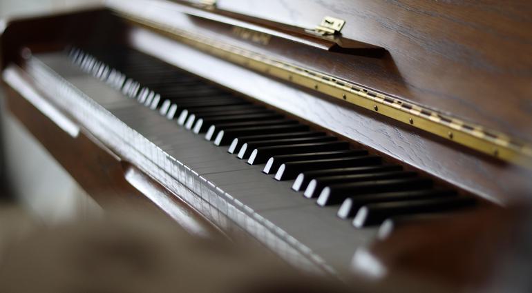 Armonía Musical para Principiantes: Acordes, Escalas y Progresiones